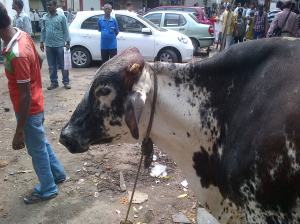 Well hello! Welcome to our Udipi dinning experience!