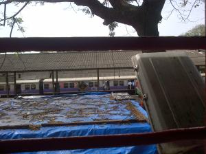 Ta ta! Bye bye! So nice of you to stop by...