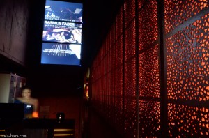 Dragonfly (Photo: Asia-bars.com)