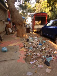 Outside my door aka why sidewalks aren't for walking...