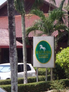 Anyone wanna go riding?