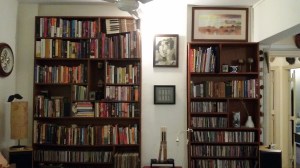 Twin bookshelves - famous (left) + newbie (right)