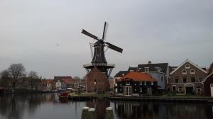 Now how perfectly Dutch