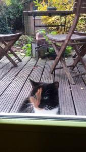 Why are you NOT letting me in?