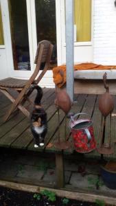 Yup this is my garden!