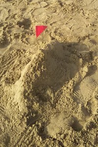 Not sure this qualifies as a sand castle?