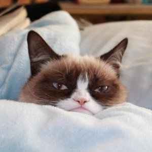 You dare to disturb me? (plantothrive.net)