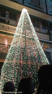 St Peter's Christmas Tree, Bandra