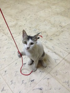 Me?? I would NEVER get into trouble! 