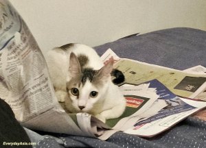 You weren't reading that, were you?