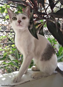 Innocent until proven guilty?