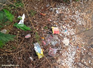 2016-04-05 Litter