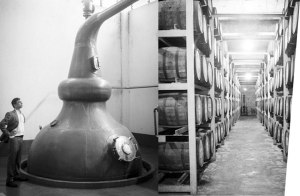 Paul John Distillery, Goa, India