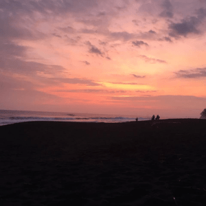 Photo: Jason Mueller