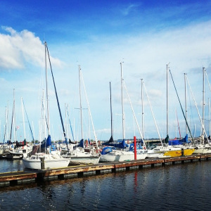 Gimli (Photo: Clarina Taylor)